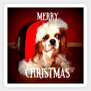 Cavalier King Charles Spaniel Merry Christmas Sticker